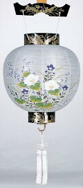 【送料無料】盆提灯　別上丸蒔絵　芙蓉　2005