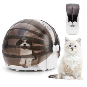 ybghC[ L hC{bNX ܂肽  hC[ nEX @ 8̍t@ É e xԒ