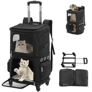 L 2 C L[ bN LX^[t ^  L[ J[g 2i ybg lR  g[obO e ʋC s/