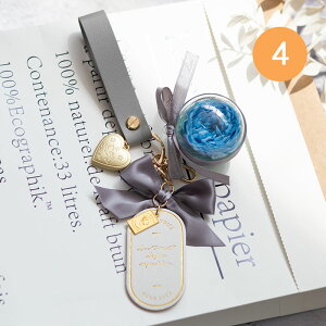 v[g a L[z_[ 킢 lC ͂Ȃ  ޏ FB  Mtg o^C LO j zj ̓ hV̓ NX}X w?--Mtg{bNXt 1