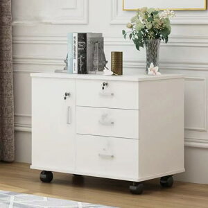 fXNS TChS Lrlbg ItBXS 70cm×s40cm×57cm i gݗĕsv ؐ o 