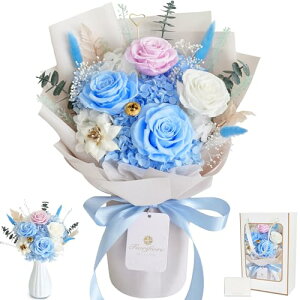 2025Vo ̓ vU[uht[ u[P 5 KNԑ  Mtg{bNXt a j v[gɍ