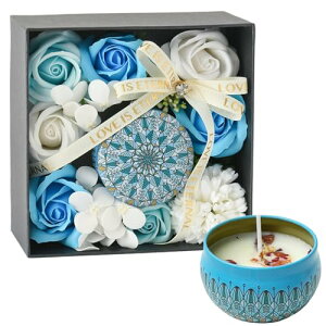 \[vt[ Mtg{bNXZbg A}Lht Ђȋeo Əj/a/ސEj  ItBX