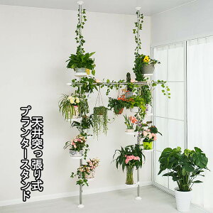 ˂莮 v^[bN t[X^h v^[I ԑ ݂艺A ϗtAu X^h u Lk