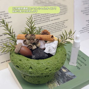 Xg[fBt[U[ VR ?ICA}fBt[U[u 400g+A}IC10ml+hCt[Av̓/o^C