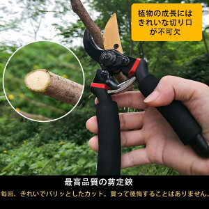 oT~ ΂݁yt̂߁zSK-5Yf|n bN@\ }؂oT~ Kтɂ [ɕ֗ y ₷ 