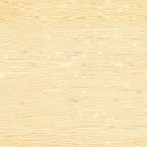 ファイルワゴン 2段 本棚 幅63×奥行38×高さ65cm A4サイズ 天板付き 仕切付き 出し入れしやすい ストッパーキャスター付き オークナチ