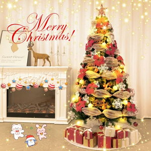 NX}Xc[ 2024V^ ̎s 180CM/700}150CM/450} I[ig/d/胊{/̌//MerryChristmas//