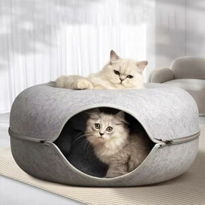 Lh[ic Lpxbh Lbgh[ic Lgl Lbggl 50*20CM L xbh h[ O\ 􂦂 Lpxbh ^