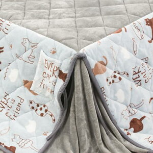 nC^Cv zc Pi _CjO e[upzc _CjOR^czc ȃXy[X ` |zc |zc z