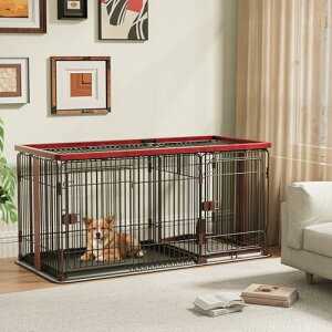  P[W  Q[W Q[W 146×s68×70cm ^p ybgP[W T[N ؐ  }bgt gC t