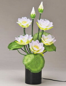 _ ~ n񓔃Oh~iX@[W nX̉