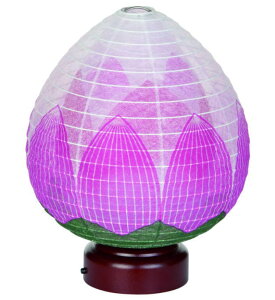 ~ _ VR  ԁE@ LEDdr d