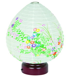 ~ _ VR  ԁEԂ炵 LEDdr