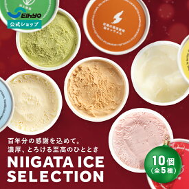NIIGATA ICE SELECTION アイス ギフト アイスクリーム 詰め合わせ バニラ 緑茶 いちご 塩キャラメル 送料無料 セイヒョー公式 ご褒美 高級