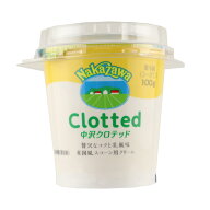 中沢 クロテッド 100g〔5504〕