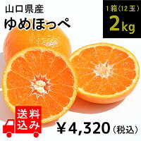 楽天市場 マリアージュフレール マルコポーロ ティーバッグ 2 5g 30p 成城石井酒販 楽天市場店 楽天市場 マリアージュフレール マルコポーロ ティーバッグ 2 5g 30p 成城石井酒販 楽天市場店
