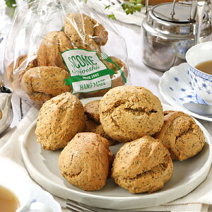 Έ䎩Ɛ Z~NeBXR[ 6 | D+2 / ܖF5