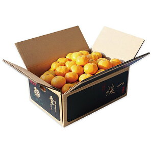 yΕzyWNFzQY щʉ Q݂ 5.0kg(STCY) | 121菇͂