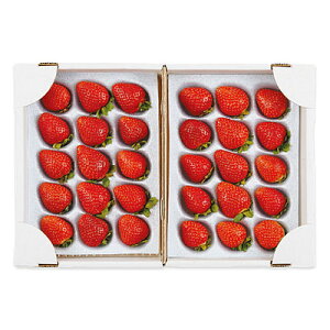 yΕzyWNFzȖ،Y ȉ | ws / 121菇͂