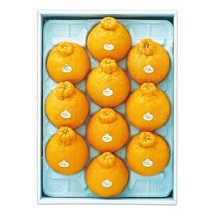 yΕzyWNFzꌧYY nEXfR| 10 | 1210菇͂