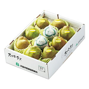 yΕzyWNFzR`YVY X[p[ EtX 8`10(3.0kg) | ws / 11{菇͂