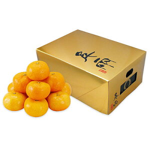 yΕzyWNFzQFaY ̊ۂ݂ 5.0kg(MTCY) | 121菇͂