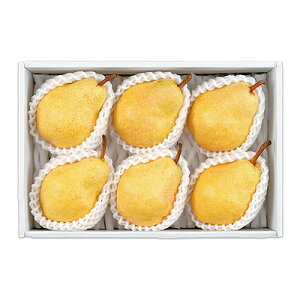 yΕzyWNFzVY EN`F 5`6i2.0?j| ws / 121菇͂