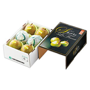 yΕzyWNFzR`Y X[p[ EtX 5`6(1.5kg) | 11{菇͂