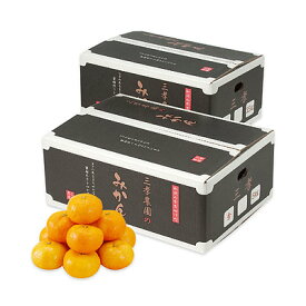 【お歳暮】【WNF】和歌山県有田郡 三孝農園みかん 5.0kg(Sサイズ) | 12月1日より順次お届け