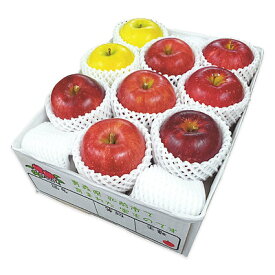 【お歳暮】【WNF】青森県弘前地区産 りんご4種詰合せ 4種9玉（サンふじ・王林・大紅栄・ジョナゴールド） | 12月1日より順次お届け