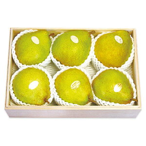 yΕzyWNFzR`EbfB[t@[ u̗mvhCAkEhDER~X | ws / 11{菇͂