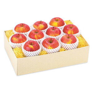 yΕzyWNFzXY tƂ炸(Tӂ) 10(3.0kg) | ws / 121菇͂