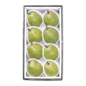 yΕzyWNFzR`Y EtX 8 | ws / 11{菇͂