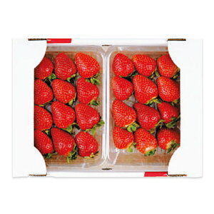 yΕzyWNFzY ܂(fbNX) 2pbN| 121菇͂