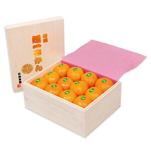 yΕzyWRNFzQY щʎ Q݂ 2.5kg(MTCY) | ws / 121菇͂