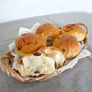 Έ䎩Ɛ [Y[ 5 | D+2 / F2