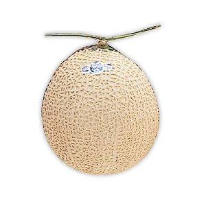 yΕzyWNFzÉY }XN 1ʓ(1.2kg) | ws / 11{菇͂