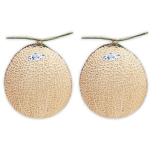 yΕzyWNFzÉY }XN 2ʓ | ws / 11{菇͂