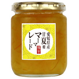 信越食品工業 愛媛県産甘夏柑マーマレード 250g×3個