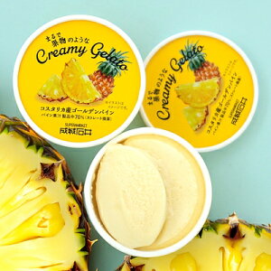 y݁zΈ ܂ŉʕ̂悤ȃN[~[WF[g pC 122ml×24 | Ezs