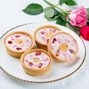 y񂹁zyWzAs[Y [Y^g 4 | Ezs