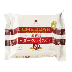 JUCOVIAƖp`F_[XCX`[Y 300g(20) | ƖpKi