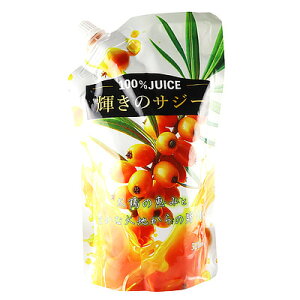 g[fBO P̃TW[ (Xg[gʏ`100%W[X) 500mll