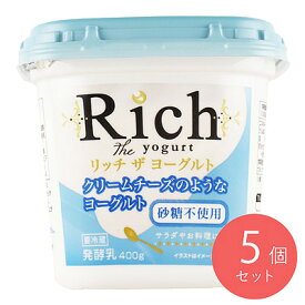 共進牧場 リッチザヨーグルト砂糖不使用400g×5個