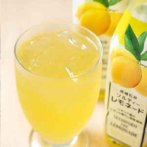 y/݌ɌzΈ C^AV`AYʏ`gp \eBl[h 350ml×24{ | ܖ2026N0325