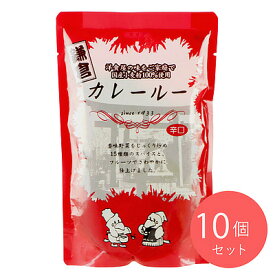 エムトゥエム カレールー【辛口】 120g×10個