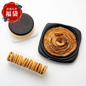 y~̕#4z NNñp[eB[؂₩ɍʂIΈ䎩ƐfU[gZbg | F4