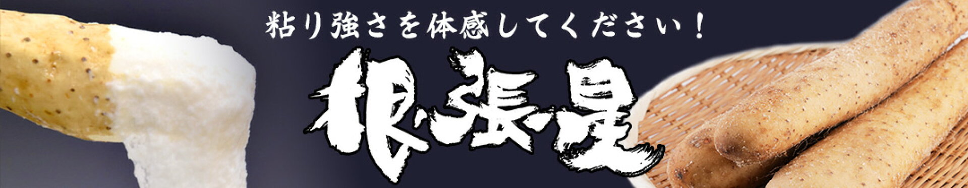粘りスター 根張星 長芋