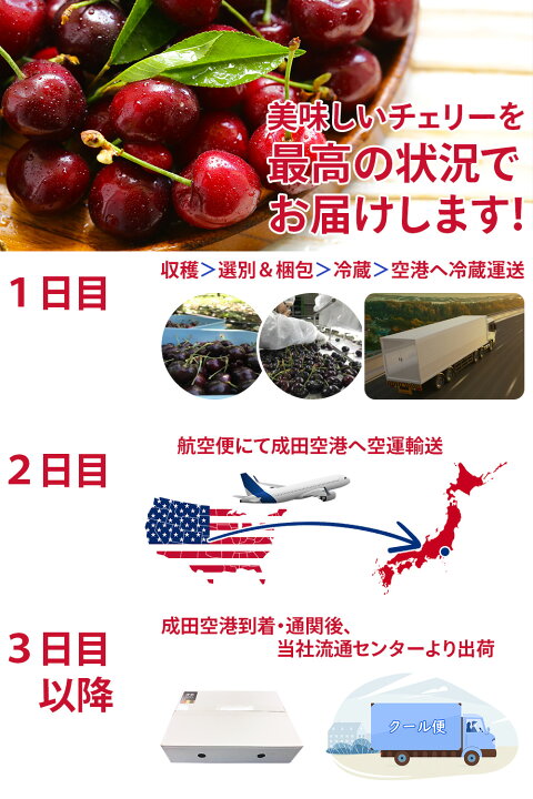 楽天市場】新物 生 アメリカンチェリー ワシントン産 11ROW以上 大粒 ぽ*助様 アメリカンチェリー8キロ11.5R